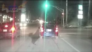 Confused Driving
