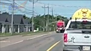 Transport Traffic Light